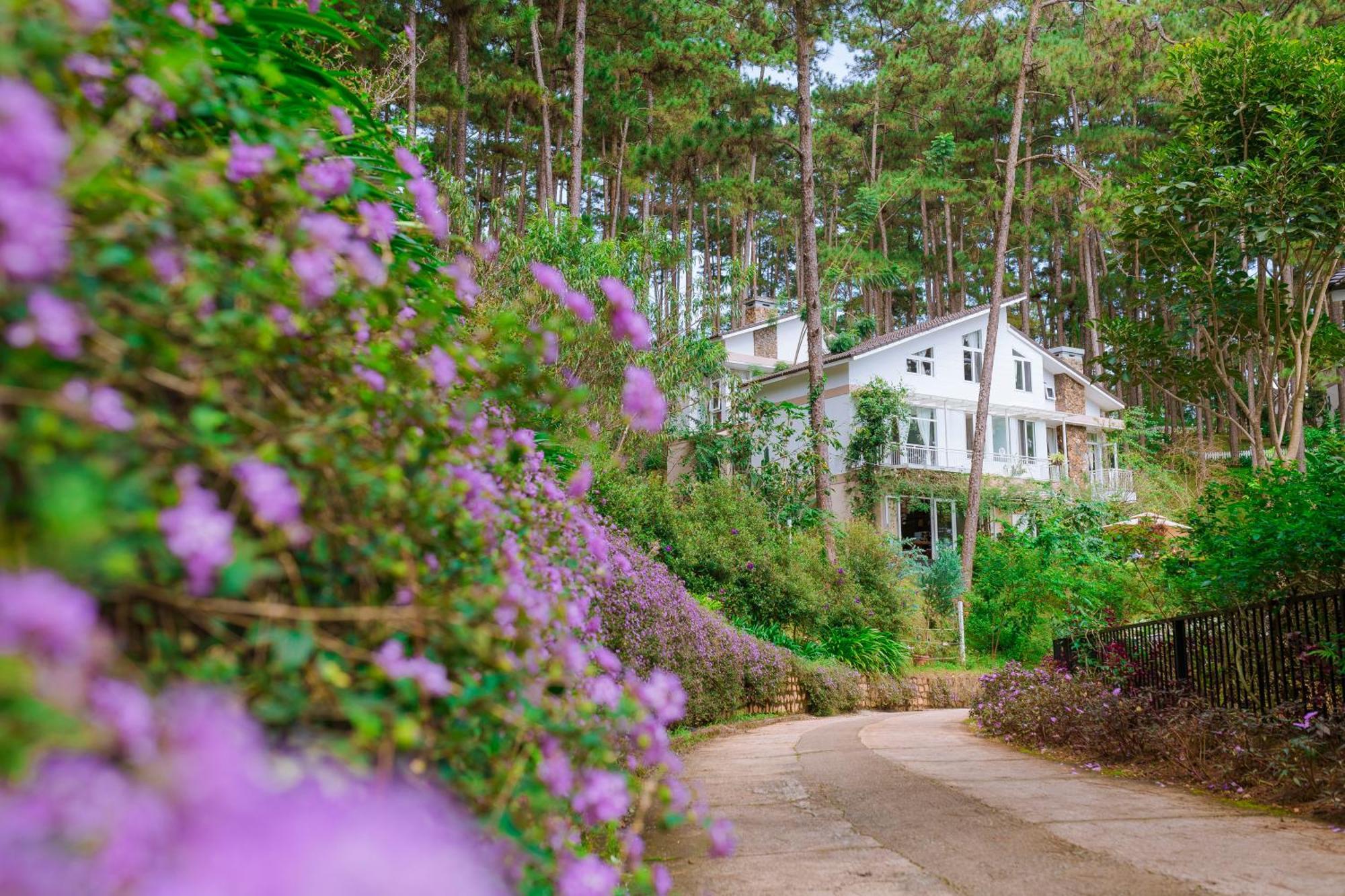 Dahlia Dalat Aparthotel Exterior foto